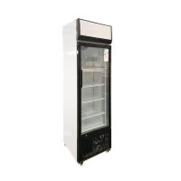 Skyrainbow Getränkekühlschrank mit Display 305 Liter